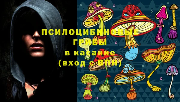 индика Белокуриха