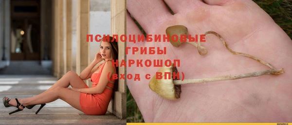 мяу мяу мука Богородицк