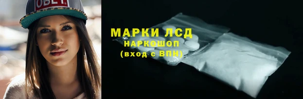 индика Белокуриха