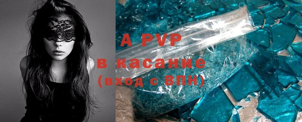 индика Белокуриха